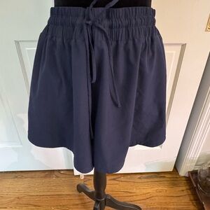 SummerSalt Navy Shorts